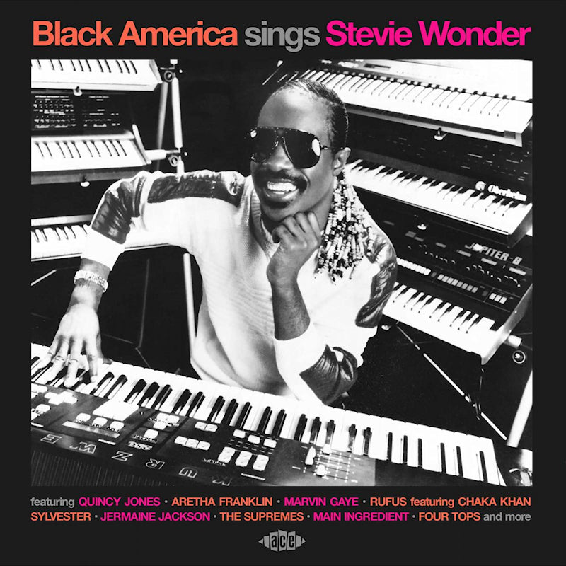 Various - Black america sings stevie wonder (CD)
