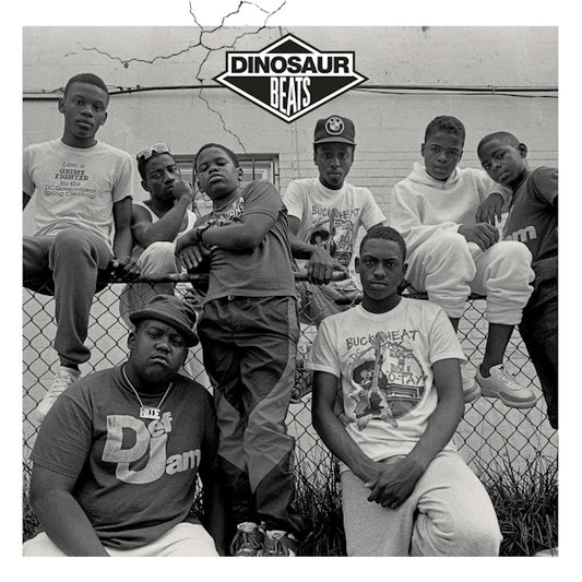 V/A (Various Artists) - Dinosaur beats (LP)