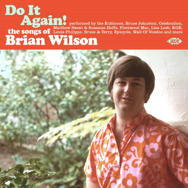 V/A (Various Artists) - Do it again! the songs of brian wilson (The Songs of Brian Wilson CD)