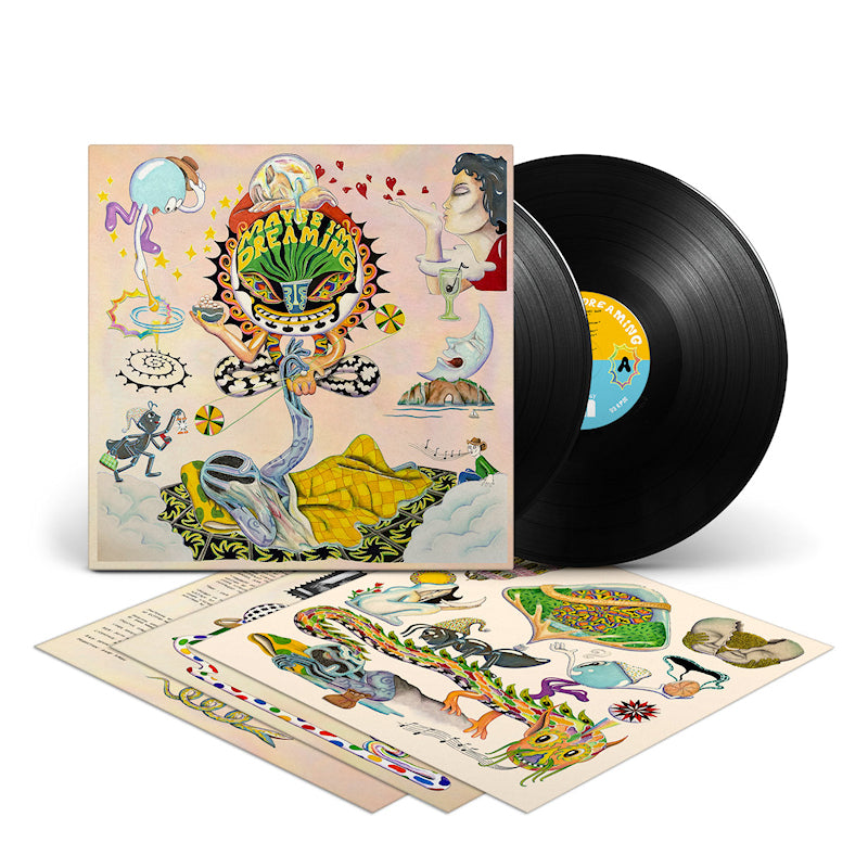 Various Artists - Maybe im dreaming (LP)