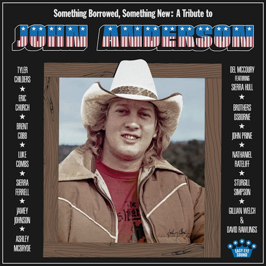 V/A (Various Artists) - Something borrowed, something new: a tribute to John Anderson (LP)