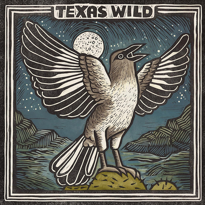 V/A (Various Artists) - Texas wild (LP)