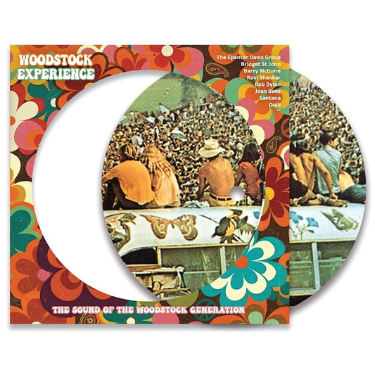 Various Artists - Woodstock experience (LP)