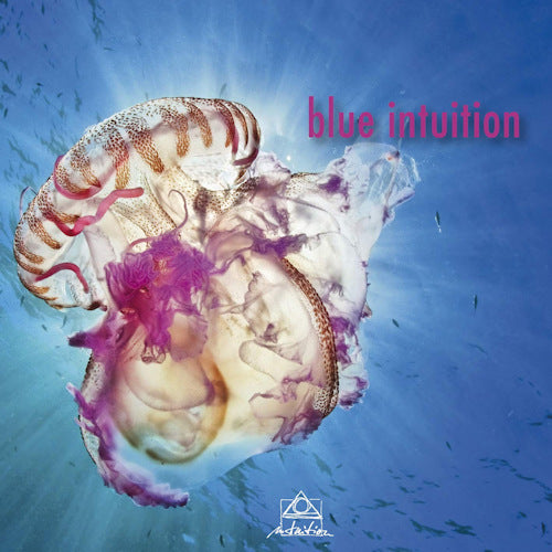 V/A (Various Artists) - Blue intuition (Nighthawks/Barbara Thompson/Bill Frisell/Phonoroid A.O., Digipak CD)