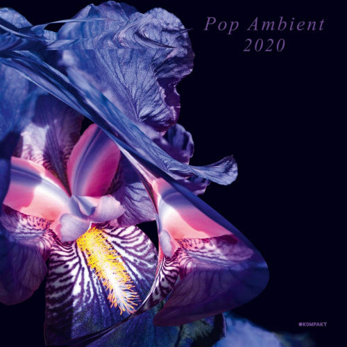 V/A (Various Artists) - Pop ambient 2020 (.. 2020 / Includes Artbook LP)