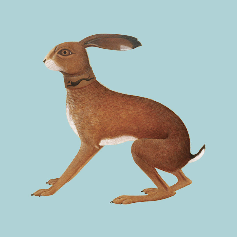 Vashti Bunyan - Lookaftering ' expanded edition (Expanded Edition CD)