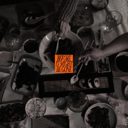 Vices, The - Before It Might Be Gone (Deluxe) (10-inch)
