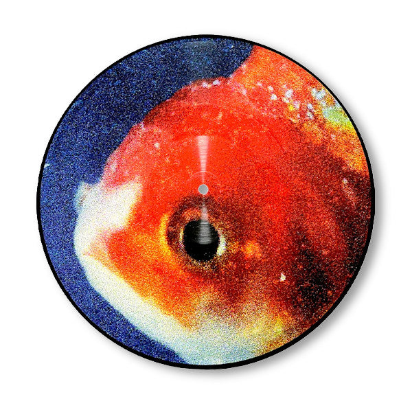 Vince Staples - Big fish theory (Picture Disc LP)