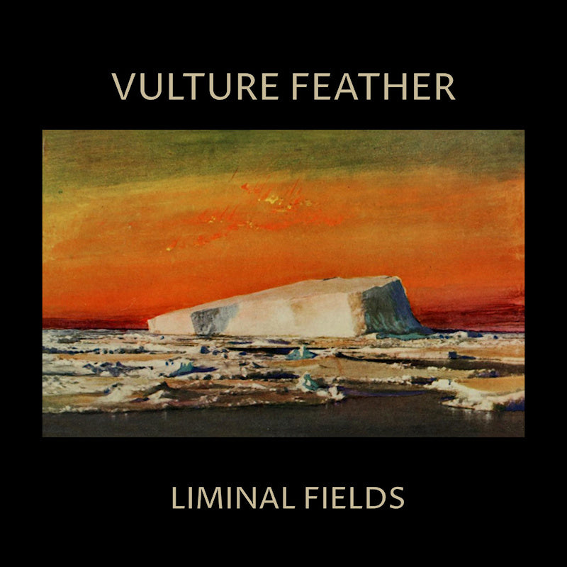 Vulture Feather - Liminal fields (Bone, Coloured Vinyl LP)