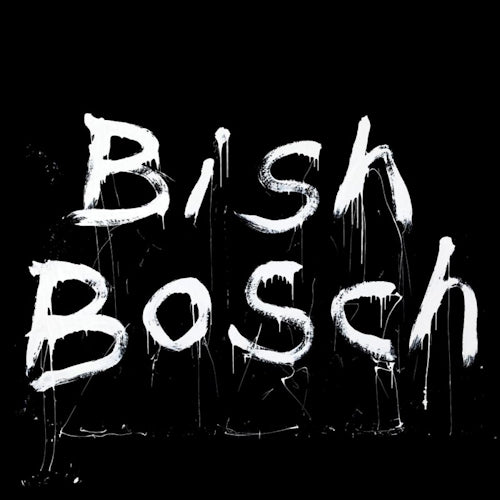 Scott Walker - Bish bosch (180gram Vinyl , CD + 36 Page Book, High Quality LP)