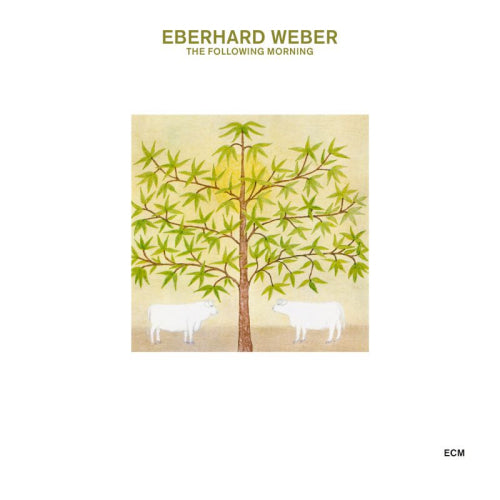 Eberhard Weber - Following morning (Digipak CD)