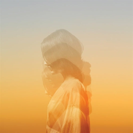 Hollie Kenniff - We all have places we miss (LP)