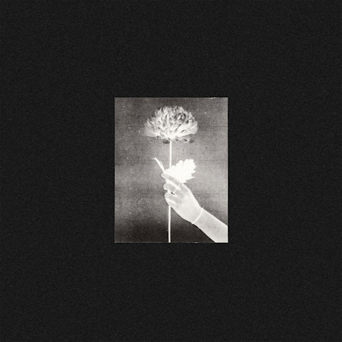 White Flowers - Day by day (-Blue Vinyl-, Coloured Vinyl LP)