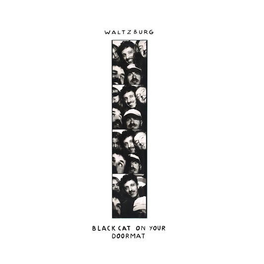 Waltzburg - Black cat on your doormat (180g, High Quality, Gatefold Sleeve LP)