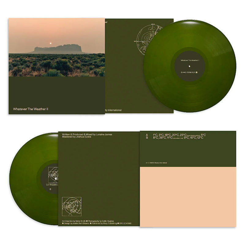 Whatever The Weather - Wahatever the weather ii (dark green) (Dark Green LP)