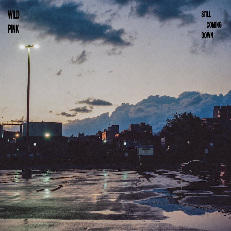 Wild Pink - Still coming down (LP)