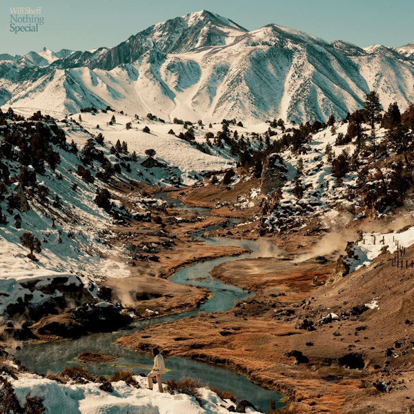 Will Sheff - Nothing special (Coloured Vinyl LP)