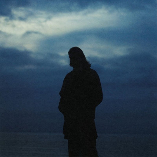 Willem Ardui - Oevers (Blue, Coloured Vinyl, Limited Edition LP)