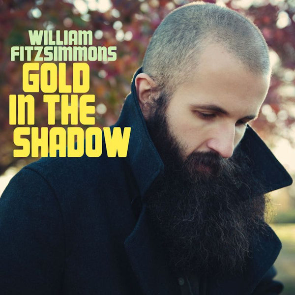 William Fitzsimmons - Gold in the shadow (CD)