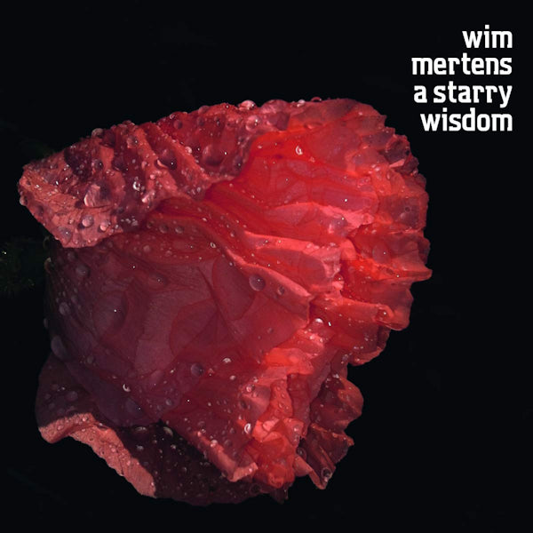 Wim Mertens - A starry wisdom (CD)