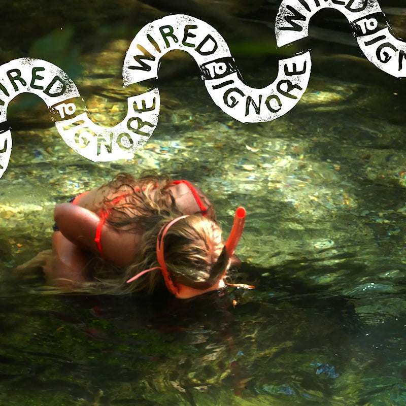 Wired To Ignore - Wired to ignore (LP)