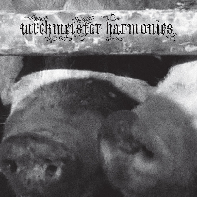 Wrekmeister Harmonies - Flowers in the spring (LP)