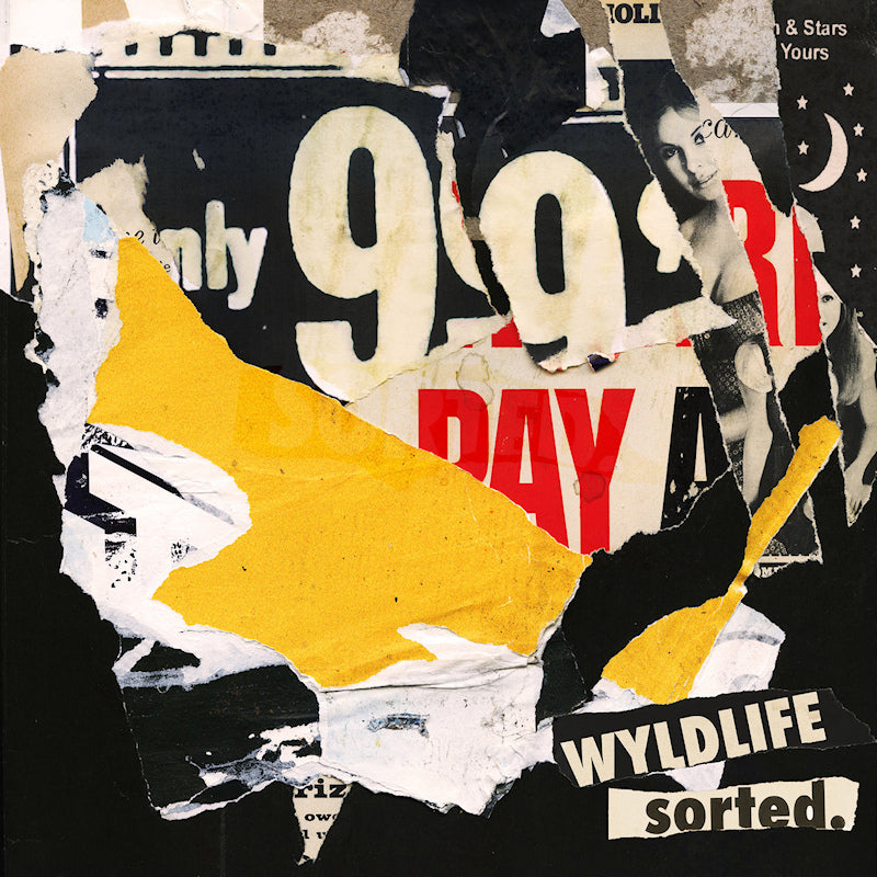 Wyldlife - Sorted. (CD)