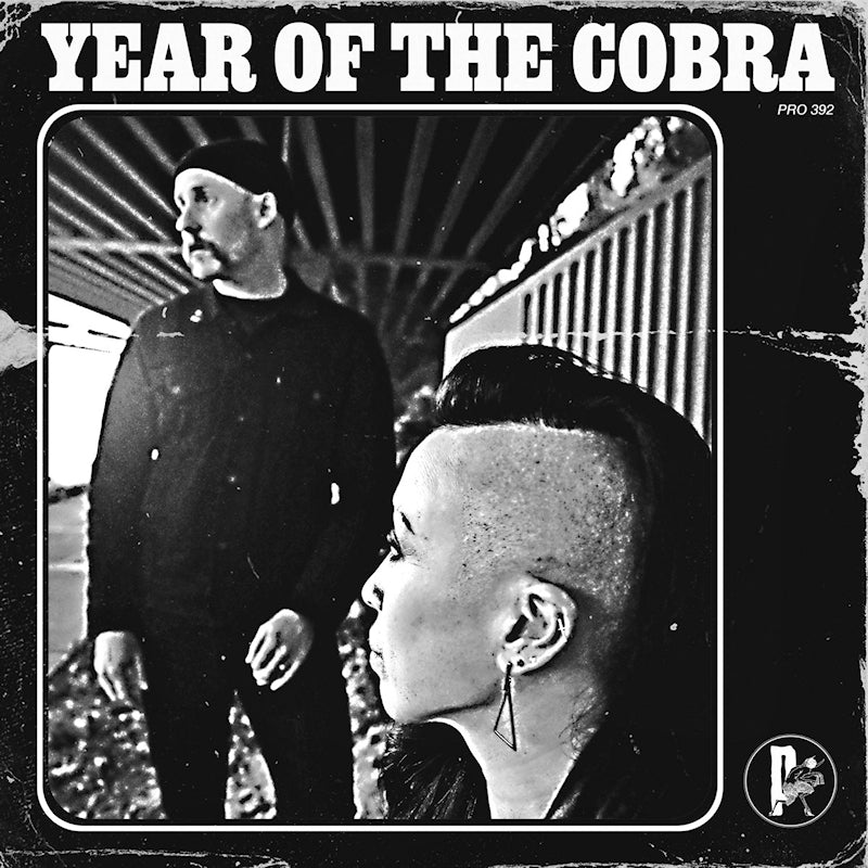 Year Of The Cobra - Year of the cobra (Crystal Clear, Coloured Vinyl LP)