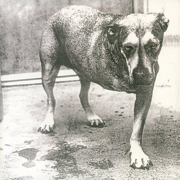 Alice In Chains - Alice in chains (Coloured Vinyl, Anniversary Edition, Reissue LP)