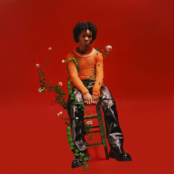 d4vd - Petals to thorns (CD)