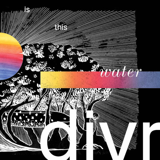 divr - Is this water (CD)