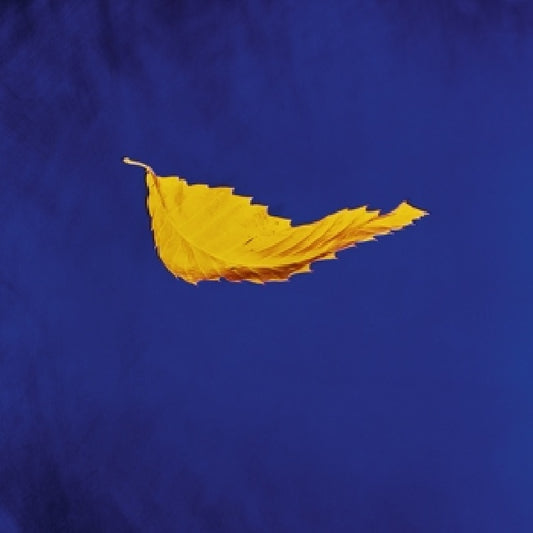 New Order - True faith (180gr., High Quality 12-inch maxi-single)