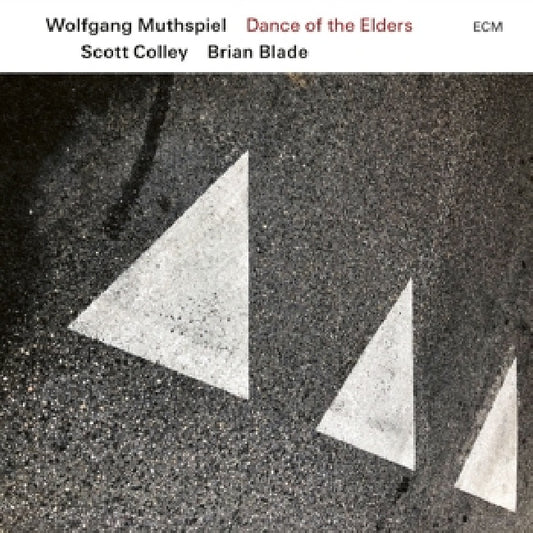 Wolfgang Muthspiel - Dance of the elders (Ft. Scott Colley/Brian Blade CD)