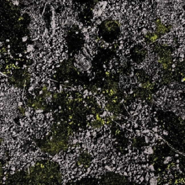 King Gizzard & the Lizard Wizard - Infest the rats nest (.. Rats Nest / Live At Red Rocks 2022 / Green Vinyl, Coloured Vinyl LP)