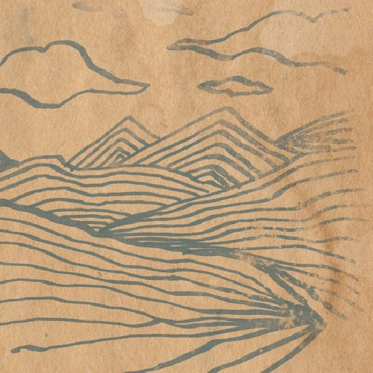 Wooden Wand - Farmer's corner (LP)