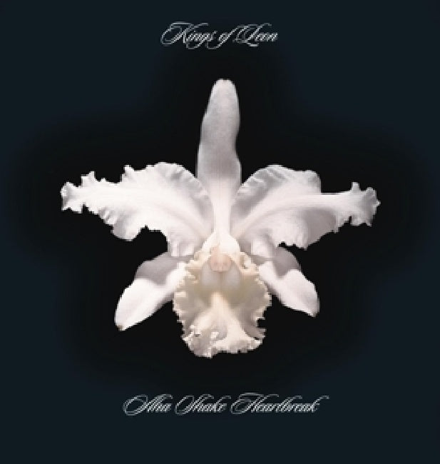 Kings of Leon - Aha shake heartbreak (4553199 LP)