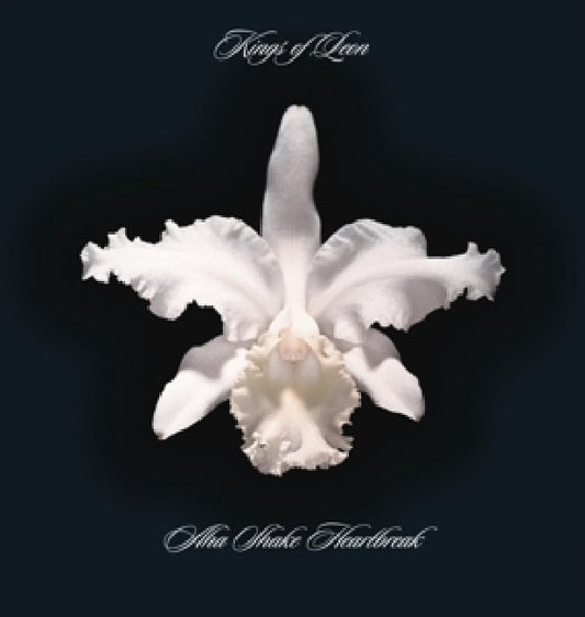 Kings of Leon - Aha shake heartbreak (4553199 LP)